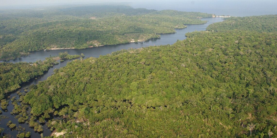 Informe científico: El cambio climático amenaza “procesos planetarios vitales”