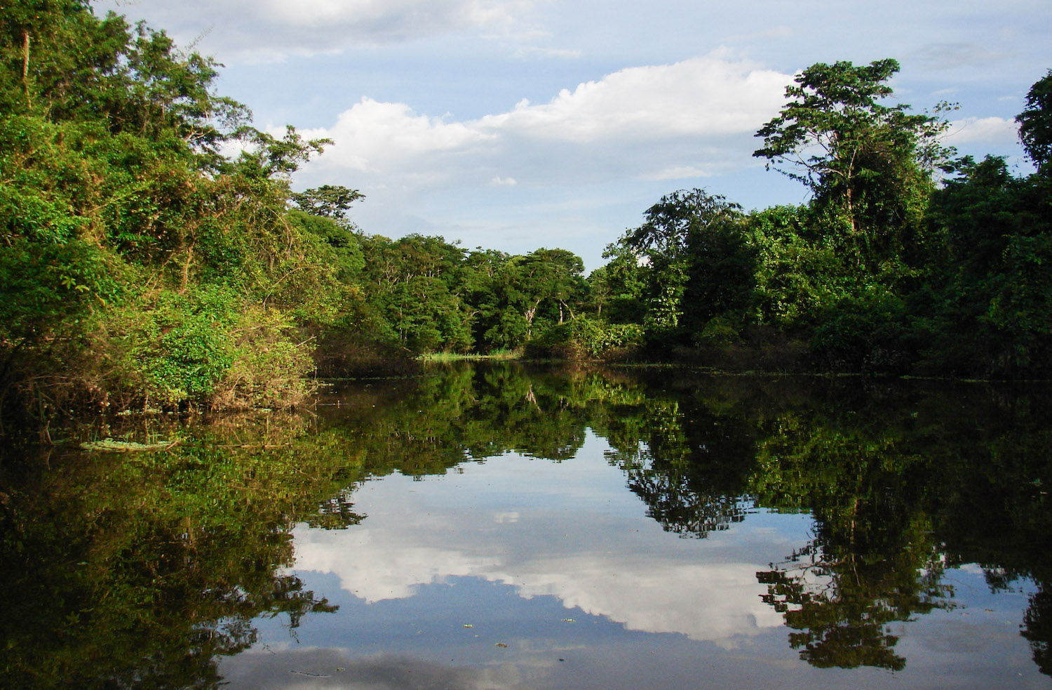 Combustibles fósiles y minería amenazan ecosistemas vitales del mundo, alertan en COP16