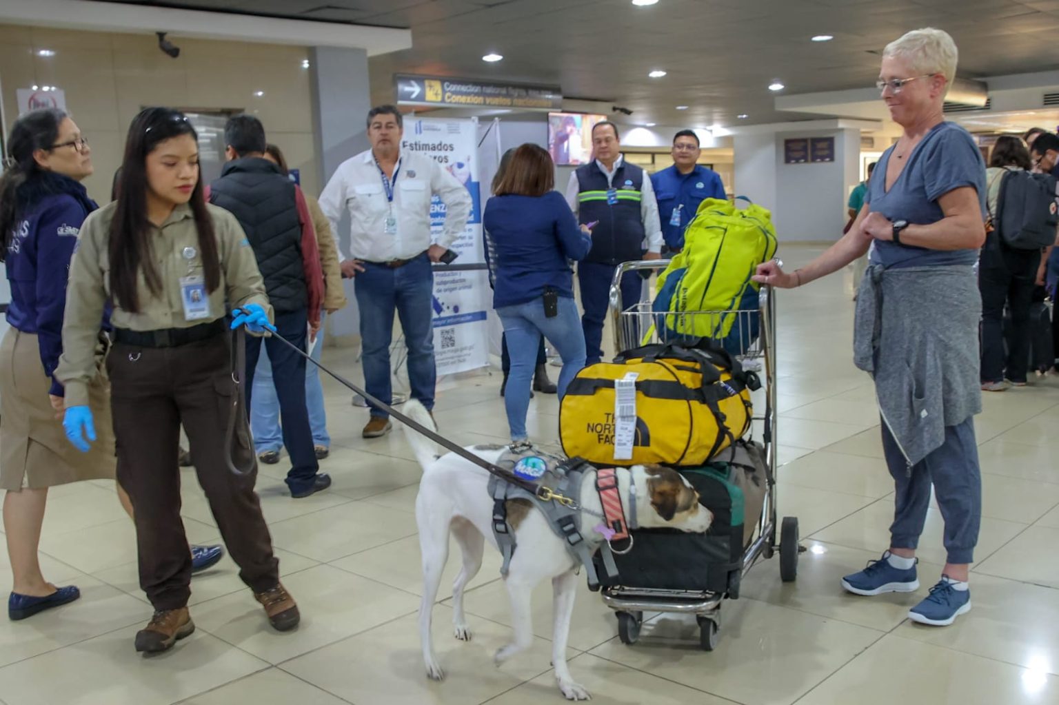 Fortalecen puestos de control de cuarentena agropecuaria del aeropuerto La Aurora