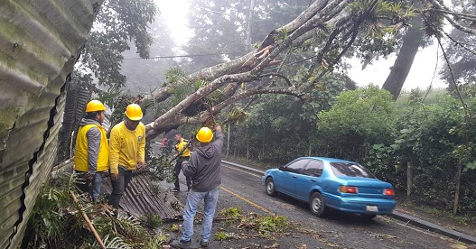 Conred: Lluvias por tormenta tropical Nadine provocaron 47 emergencias en 12 departamentos