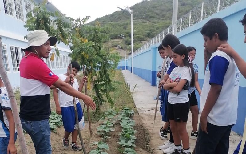 Escolares de San Agustín Acasaguastlán recolectan hortalizas. / Foto: MAGA.