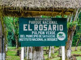 En uno de los pulmones del país, Parque Nacional El Rosario, proporciona un ambiente natural y protegido. / Foto: cortesía INAB 