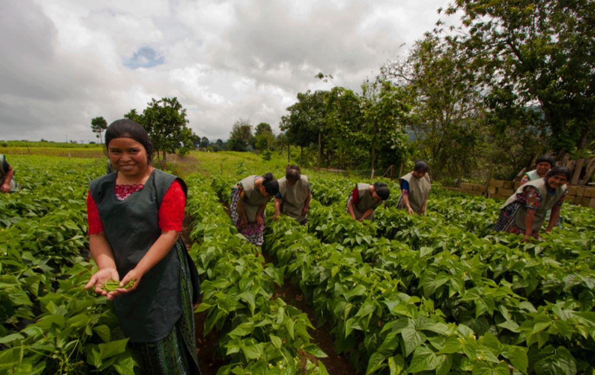 El rol clave de las mujeres productoras en el sector alimentario