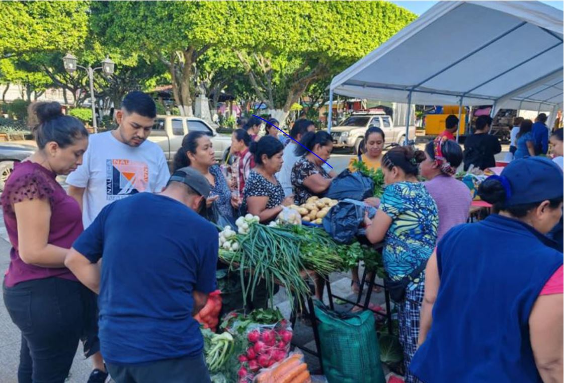 Mañana comienzan las ferias del agricultor de octubre