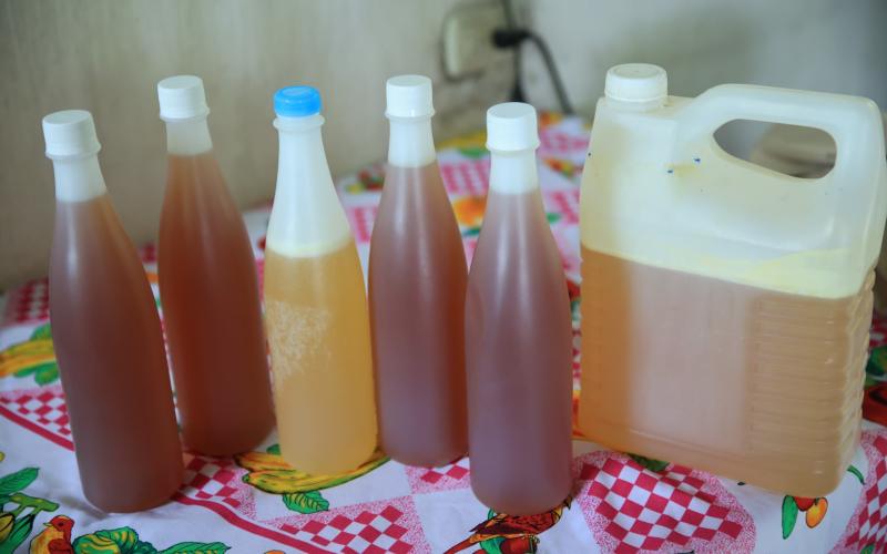 Miel, un producto con grandes propiedades para la vida y la salud