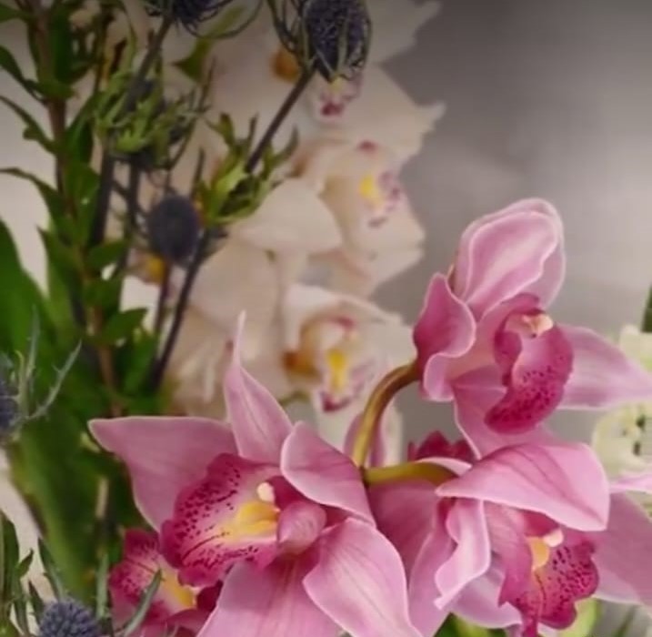 Senacyt invita a participar en la Exposición Nacional de Orquídeas 2024