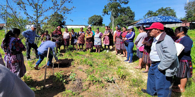 La delegación de eurodiputados evaluará el impacto del cambio climático y la pobreza en Guatemala.