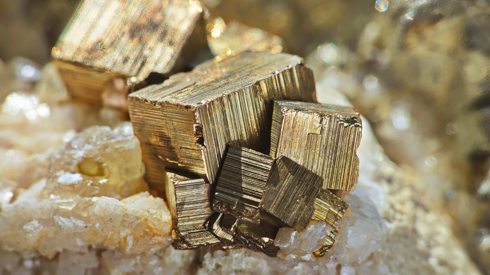 Pirita, también llamada "el oro de los tontos", sirvió para conservar ejemplar de artrópodo. / Foto: Gizmodo.