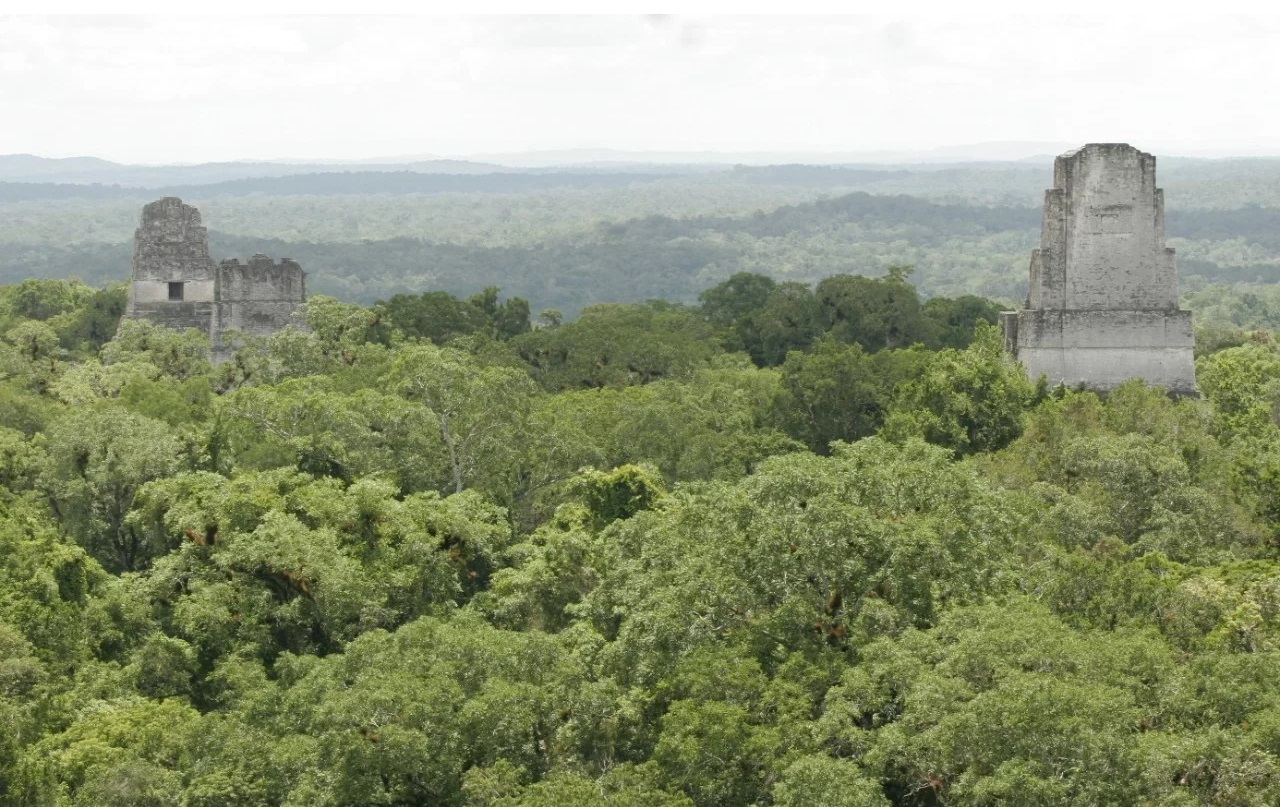 El Inguat, que busca posicionar a Guatemala como un importante destino turístico, se propone crear un museo en medio de la selva petenera.