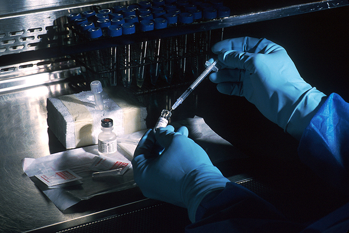Científicos crean vacuna bacteriana que combate el cáncer en ratones.