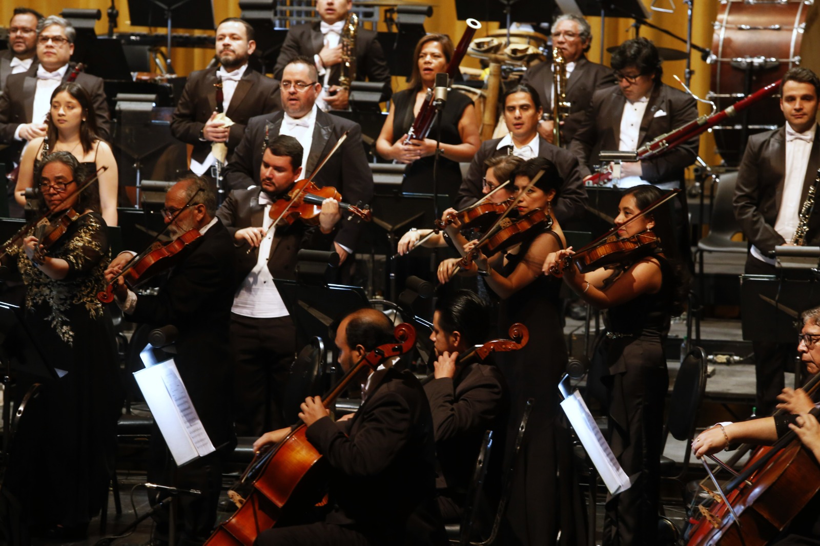 Orquesta Sinfónica Nacional.