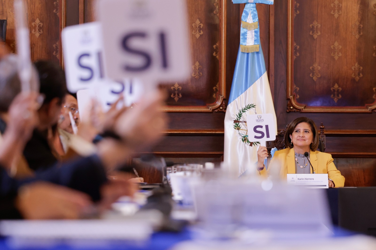 Quinta sesión extraordinaria del Conasan. /Foto: Dickéns Zamora.
