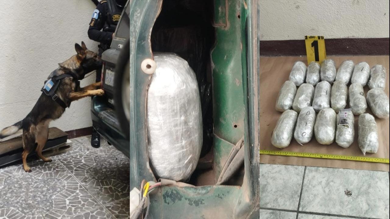 En su interior, las autoridades encontraron 17 paquetes de marihuana, además de 127 recipientes de plástico, conocidos como colmillos. / Foto: PNC.