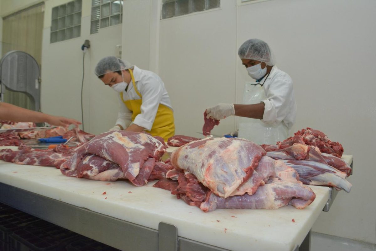 No hay peligro de consumir carne de res por caso del gusano barrenador, aclara el MAGA
