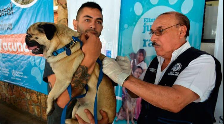 MSPAS tendrá jornada gratuita de vacunación canina contra la rabia