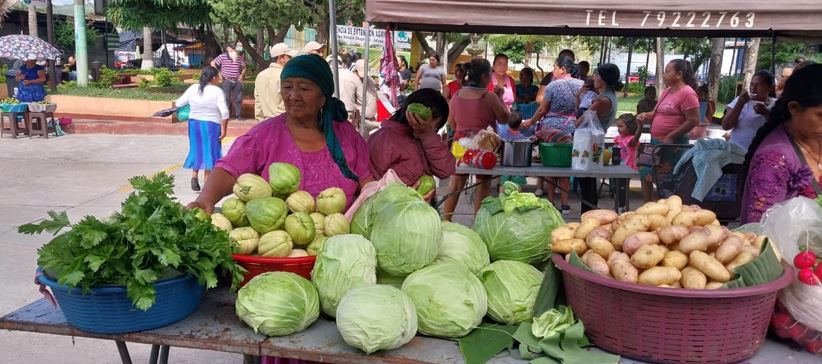 Impulsa la economía local y la seguridad alimentaria en San Manuel Chaparrón