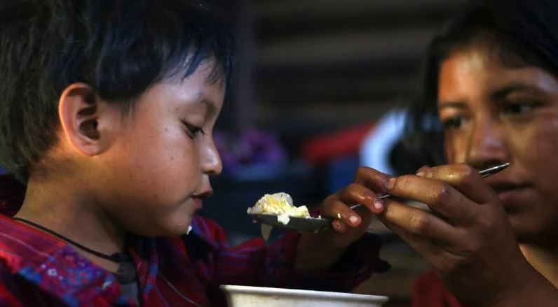 Dietas saludables y sostenibles: el reto de garantizar alimentos nutritivos para todos