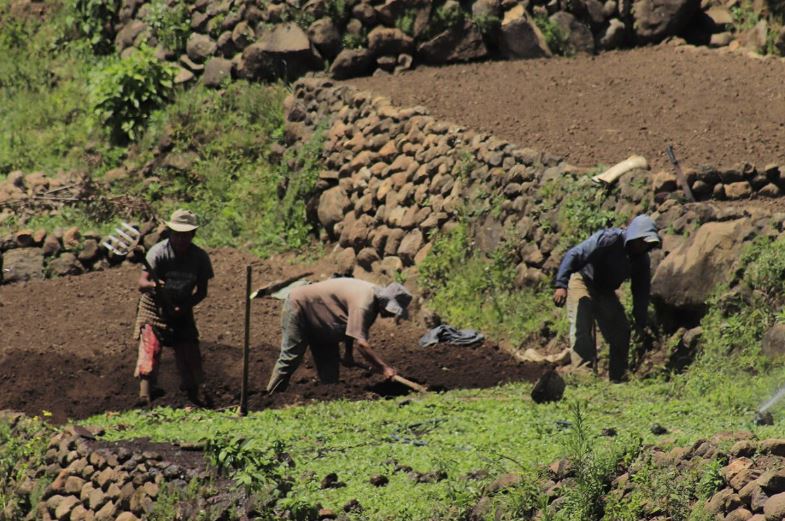 El suelo es un recurso esencial para la producción de alimentos. / Foto: MAGA.