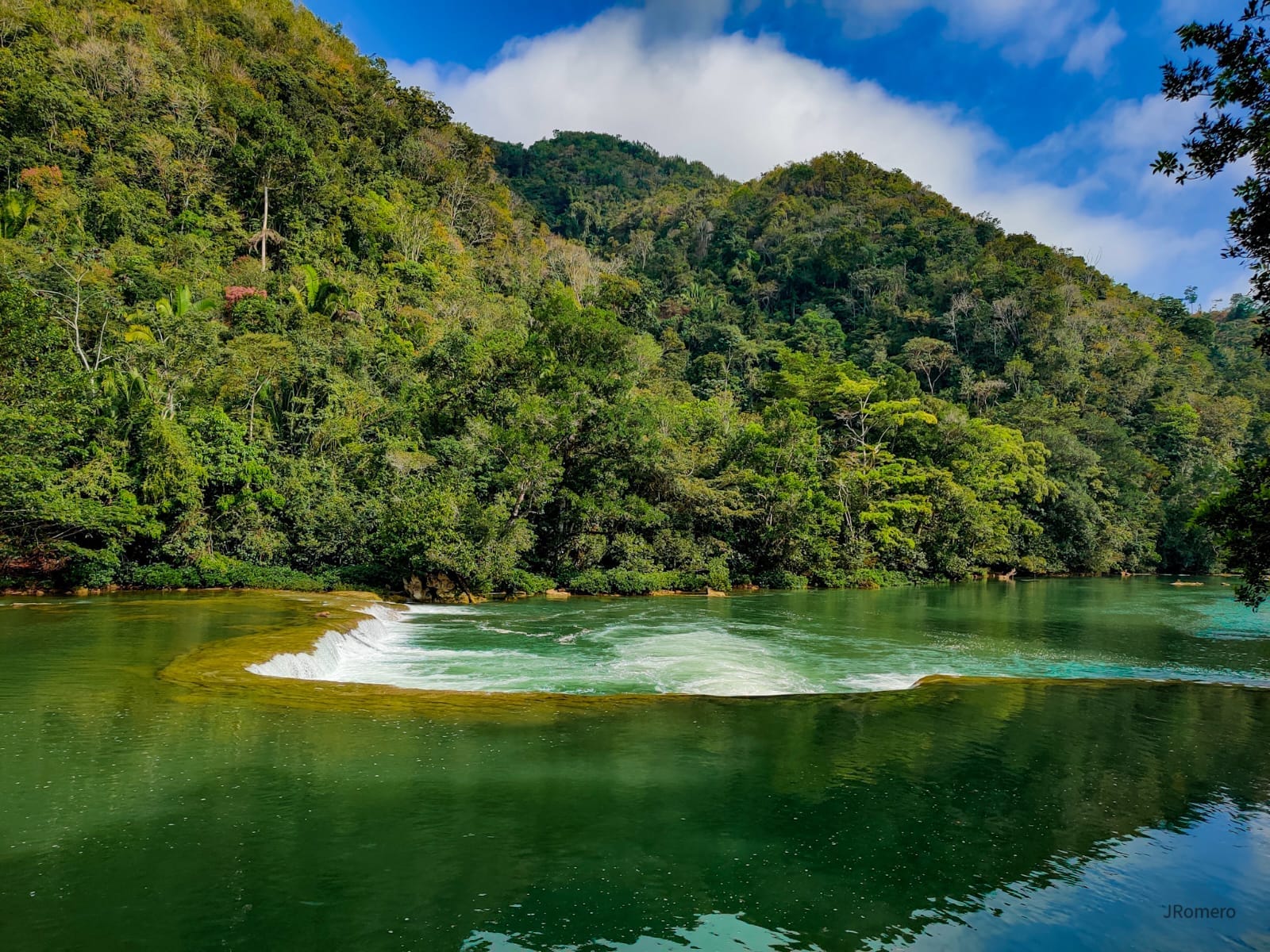 Reafirman compromiso con la protección de la naturaleza y hacen llamado a la acción por un futuro sostenible