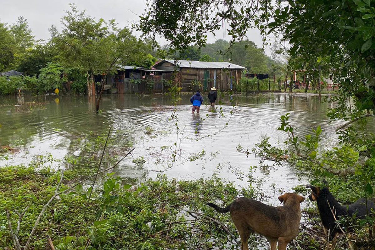 Evalúan daños por la tormenta tropical Sara. / Foto: MAGA.