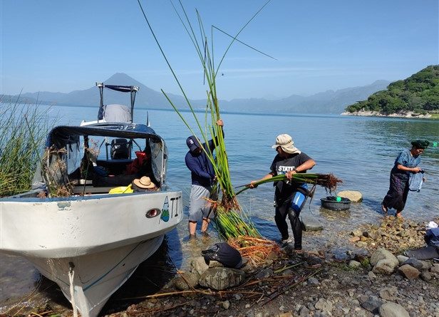 Amsclae promueve guías para obtener licencia ambiental