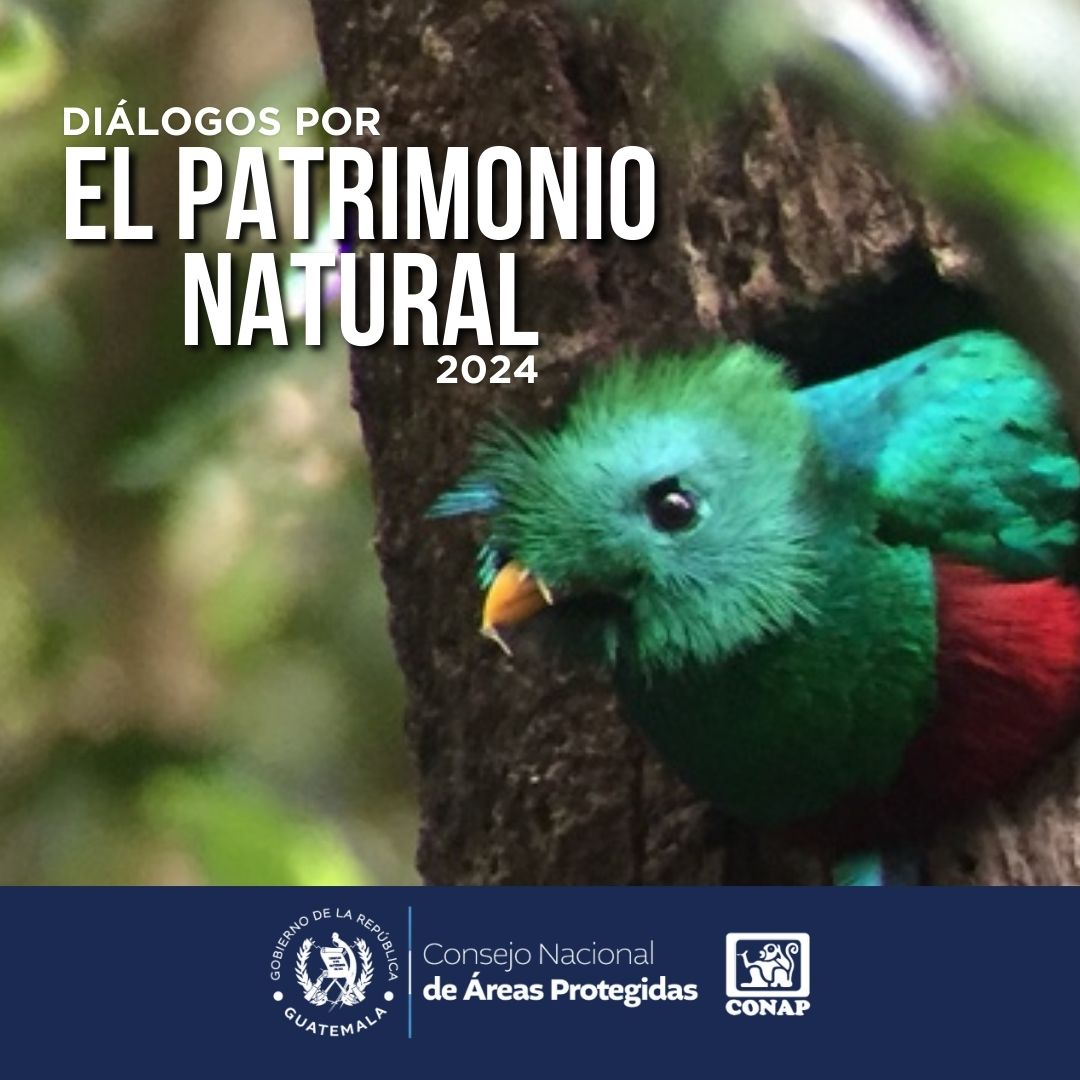 Diálogo busca abordar la temática de resguardo y presupuesto del patrimonio natural. / Foto: cortesía Conap.