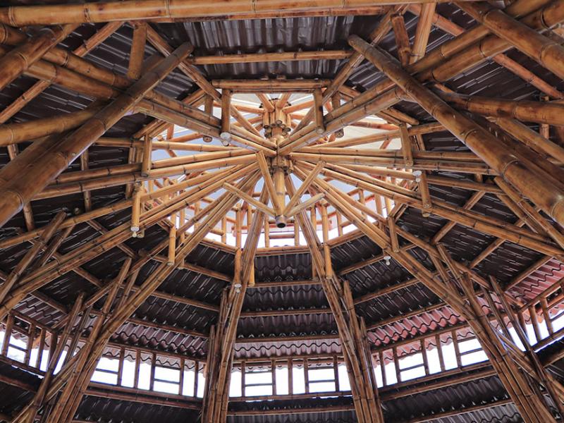 El bambú, también conocido como "acero verde", se ha convertido en una alternativa ecológica para la construcción.