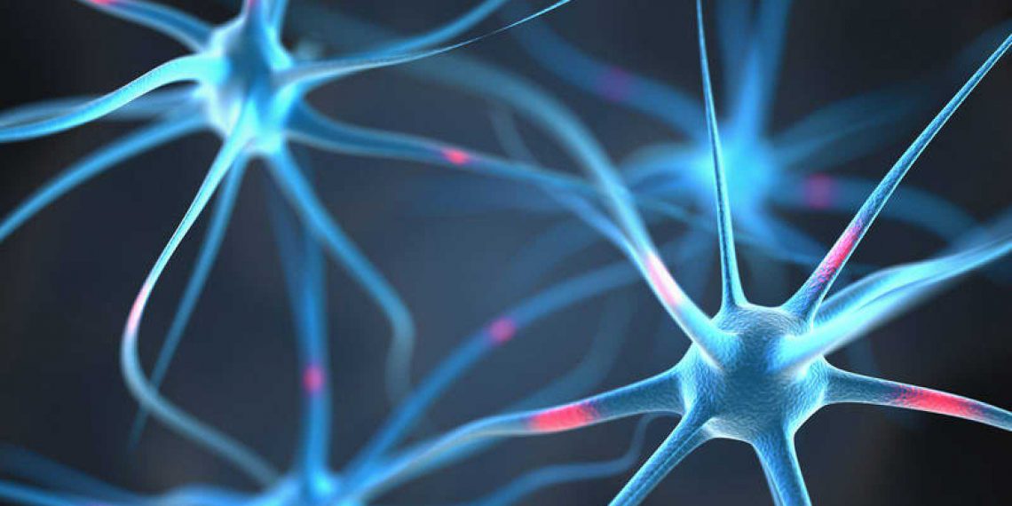 El cerebro activa gran cantidad de redes al momento de ver una película. / Foto: Getty Images.