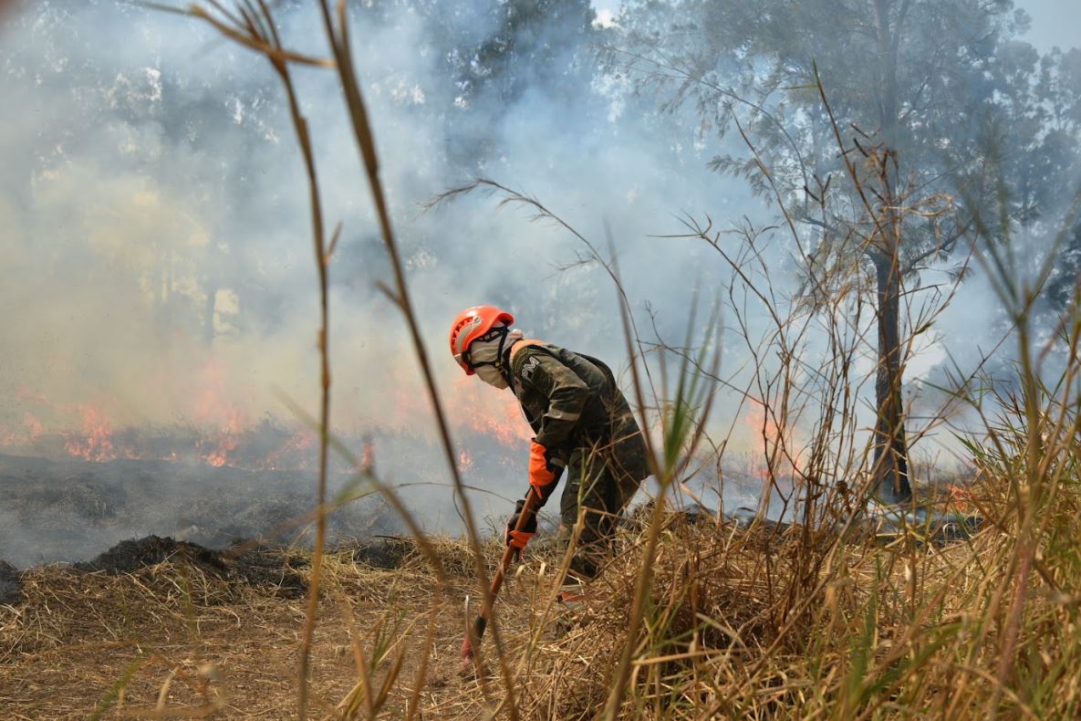 Estudio revela que contaminación por incendios tiene relación con muertes a nivel mundial. / Foto: Archivo.