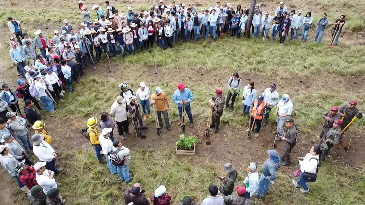 Ejército rebasa la meta de reforestación propuesta para el 2024