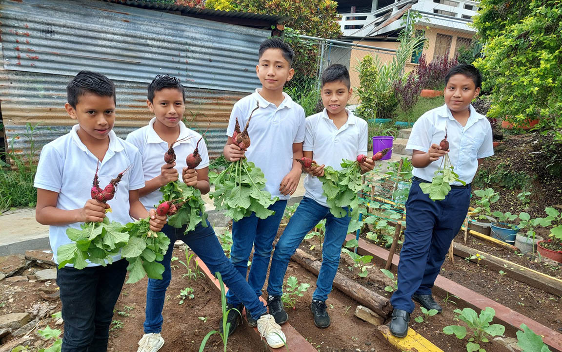 Estudiantes de diversas escuelas de San Marcos, concluyen con éxito huerto escolar. / Foto: cortesía Maga