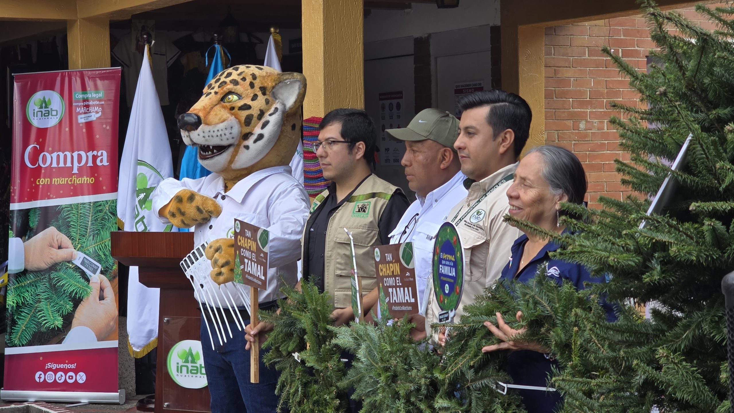 Inab y Conap inauguran ferias del pinabete 2024