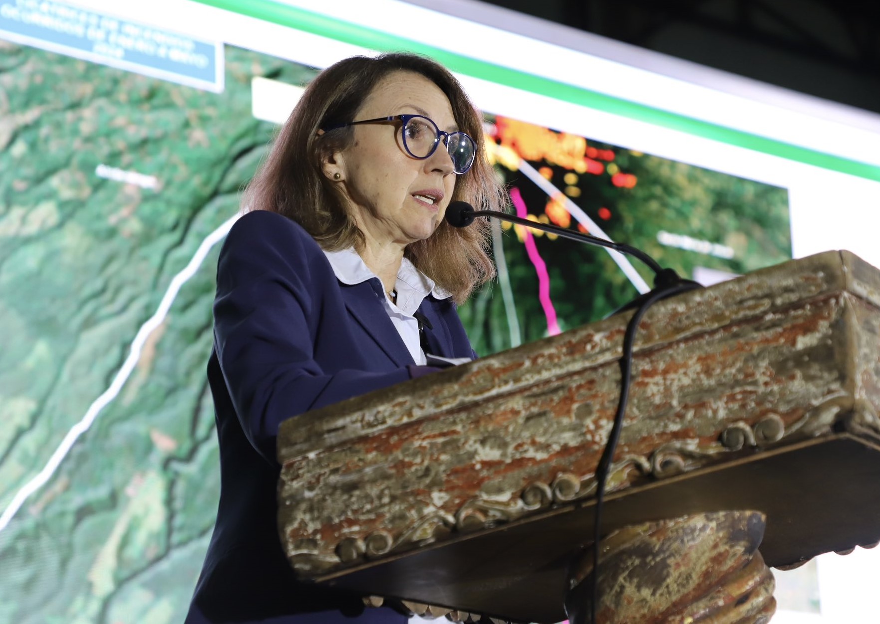 Ministra de Ambiente: “Es impostergable revolucionar la forma de hacer infraestructura”