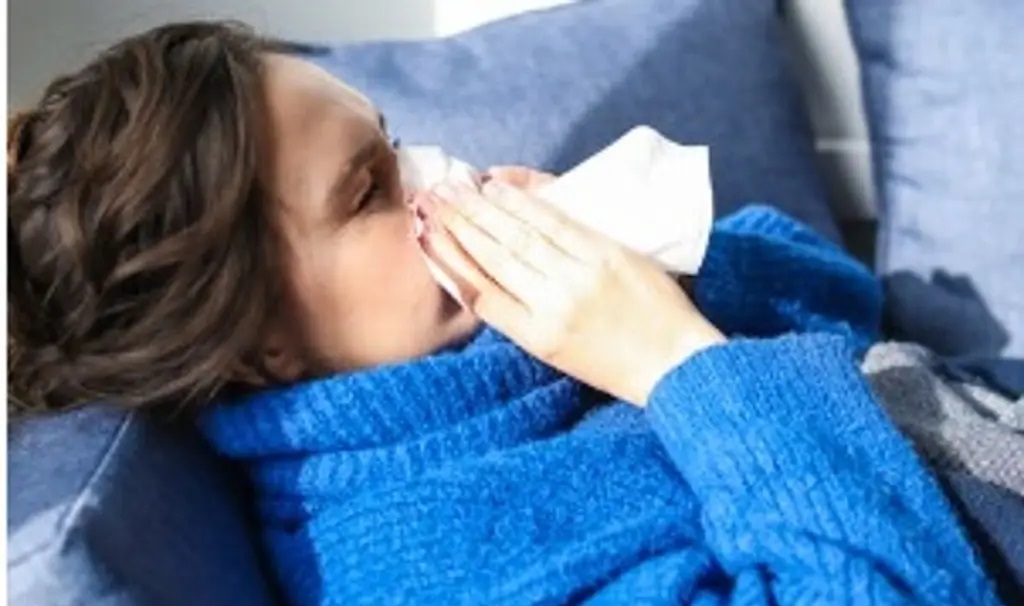 Se cree que el linaje de la gripe A y la gripe B/Victoria se extinguió durante la pandemia.
