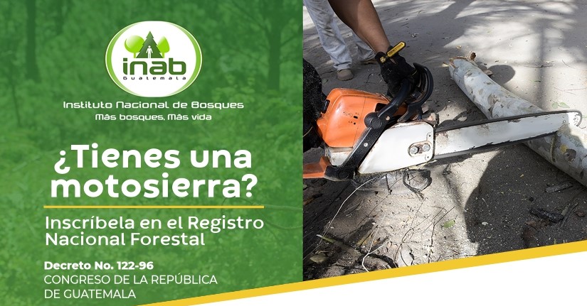 Los requisitos para la inscripción en el Registro Nacional Forestal los puede encontrar en línea. / Foto: cortesía Inab