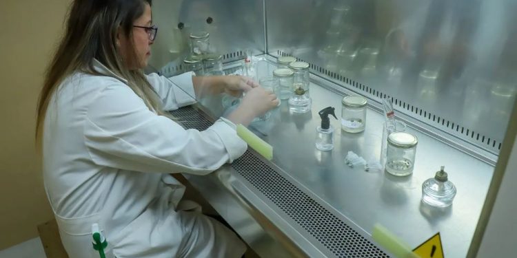 Puede encontrar los requisitos para participar y obtener financiamiento de investigación científica. / Foto: archivo AGN