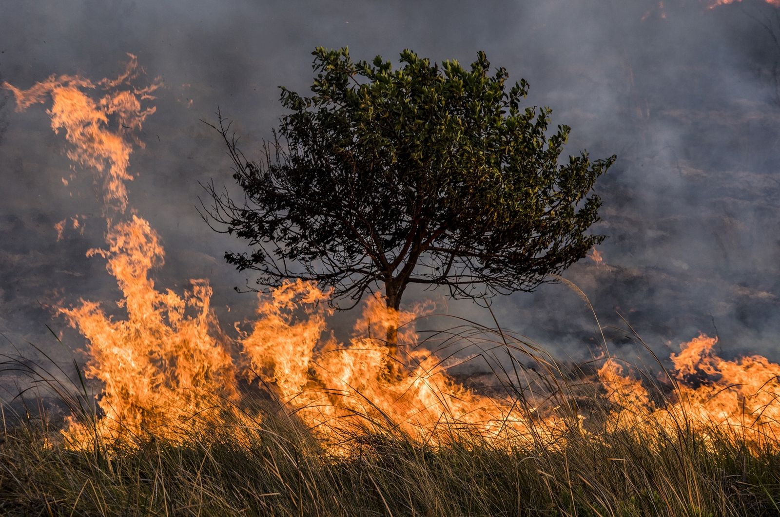 UNESCO lanza guía para proteger el patrimonio natural y cultural ante los incendios