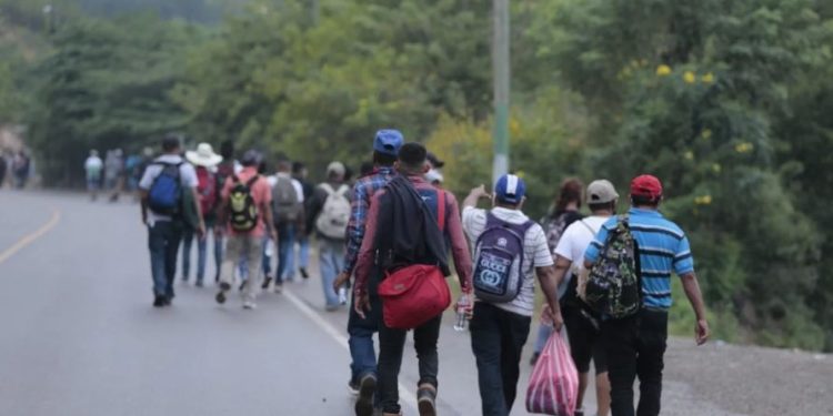 Unidad de Género del IGM actuará en concordancia con políticas migratorias y respeto humano. / Foto: DCA.
