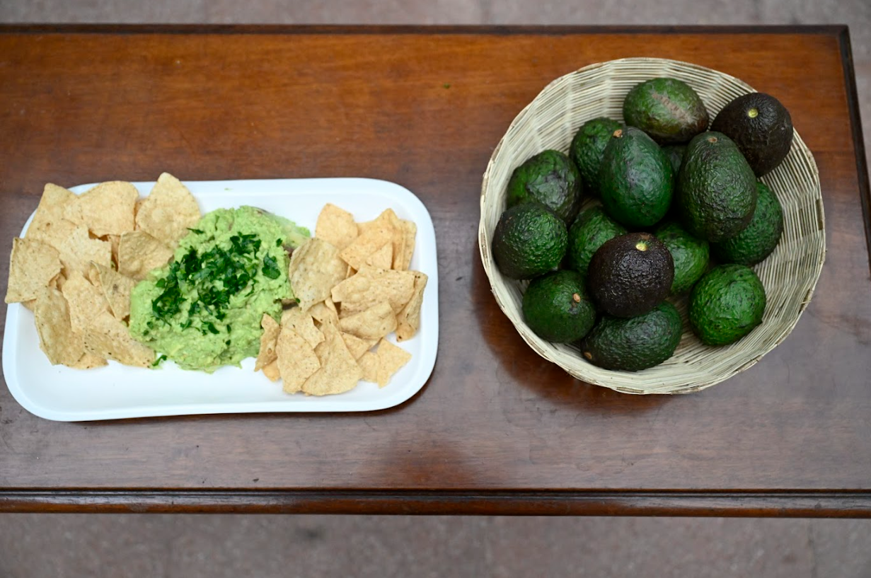 Principales destinos de las exportaciones de aguacate guatemalteco
