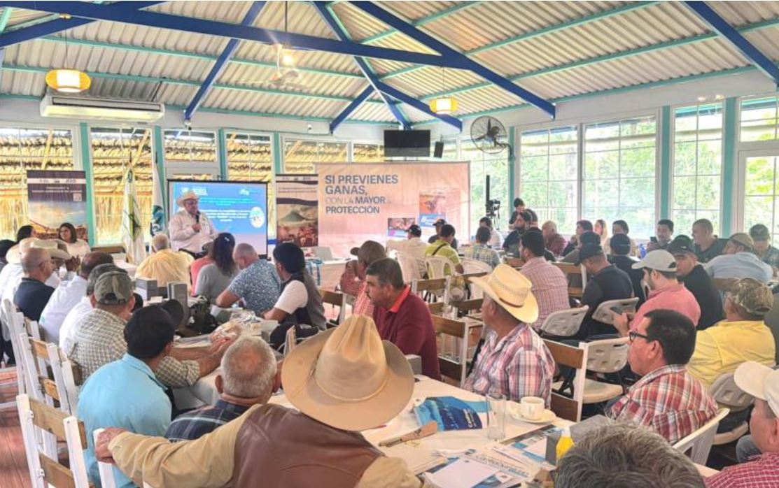 Capacitan a 130 ganaderos de Izabal en la prevención del gusano barrenador del ganado