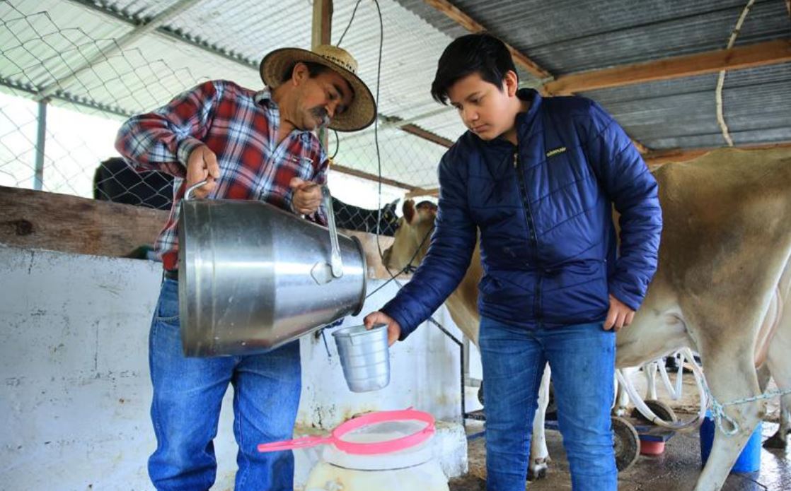 La leche es mucho más que una bebida nutritiva; es un alimento completo que favorece el desarrollo y la salud general. / Foto: MAGA