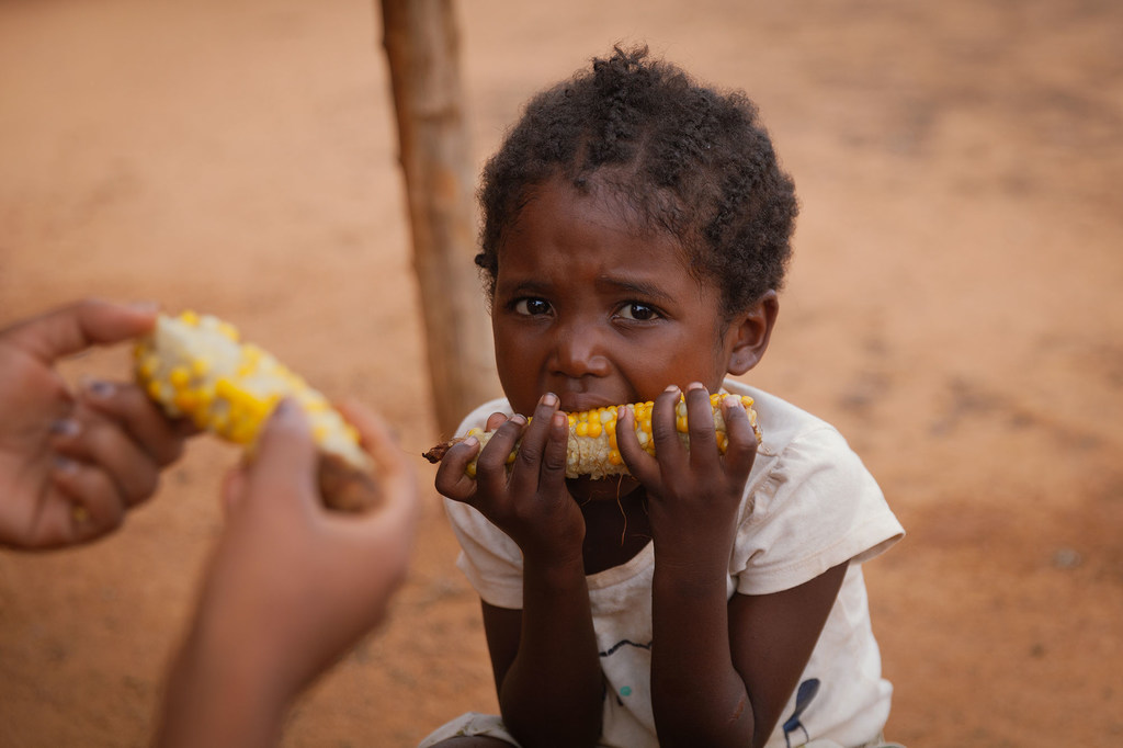 Agencias de Naciones Unidas advierten sobre estadísticas de personas que pasan hambre en el mundo. / Foto: ONU.