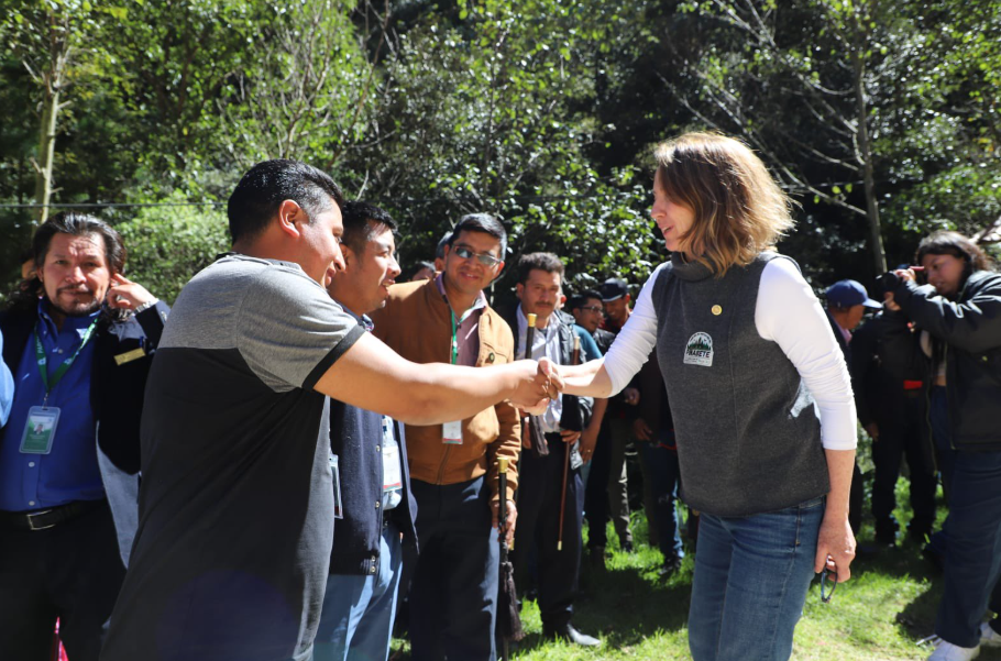 Comunitarios y la ministra de Ambiente coincidieron en la importancia de proteger la especie del pinabete. / Foto: MARN.