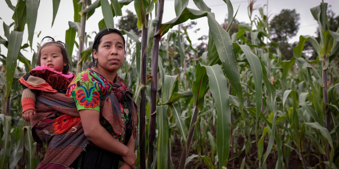 Convocan a mujeres indígenas para cargo de Defensora de la Mujer Indígena. / Foto: Noé Pérez.