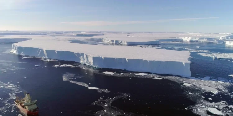 Hielo marino impacta en la preservación del Ártico. / Foto: Telemundo.