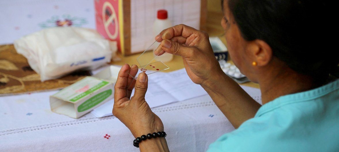 OMS: las muertes por malaria bajaron en América un 61.8 % en lo que va de siglo
