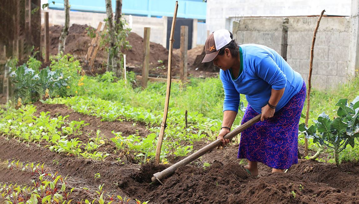 Agricultura de infrasubsistencia y su impacto en las familias rurales