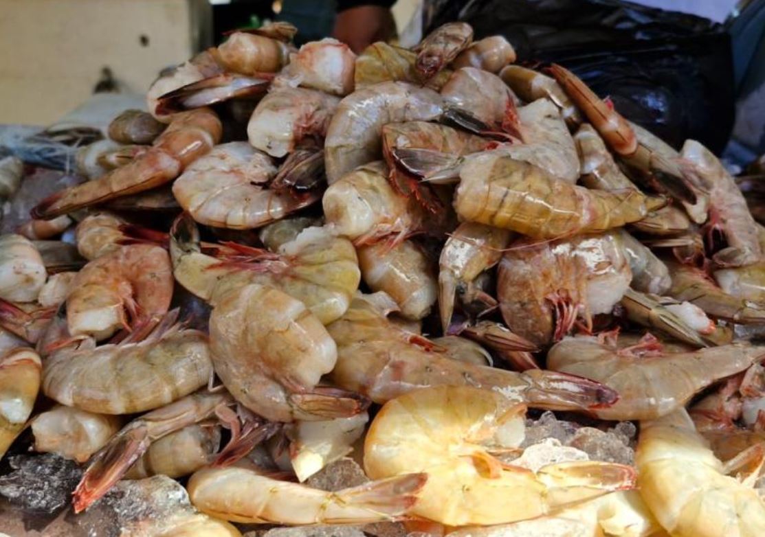 Exportaciones de camarón de Guatemala crecen 68 % en 2024