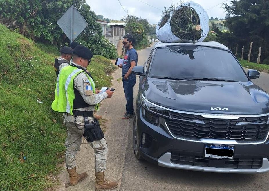 Policías Diprona intensifica campaña para proteger el pinabete en Jalapa