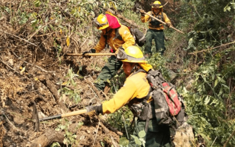 La Conred señala que el combate a los incendios y sus efectos es una tarea de todos.